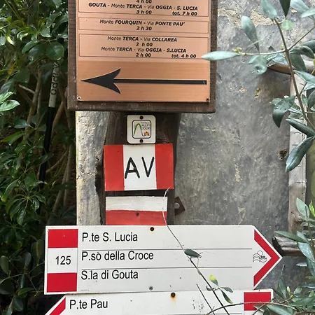 A Cola Apartment *